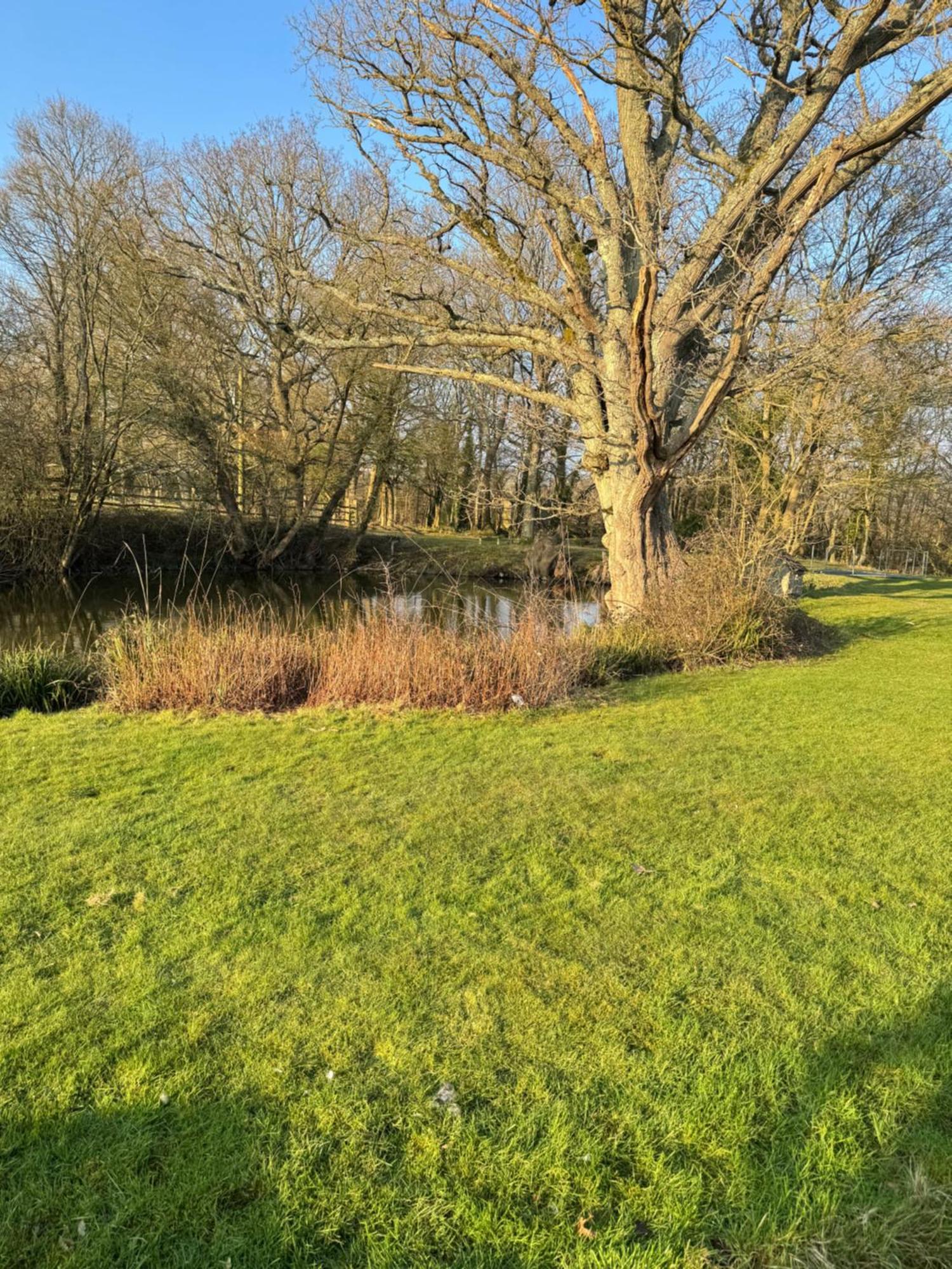 Waters Edge Apartment Rolvenden Exterior photo